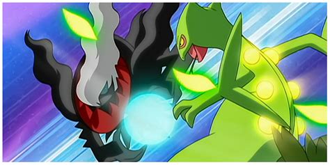 ash sceptile|pokemon ash vs tobias.